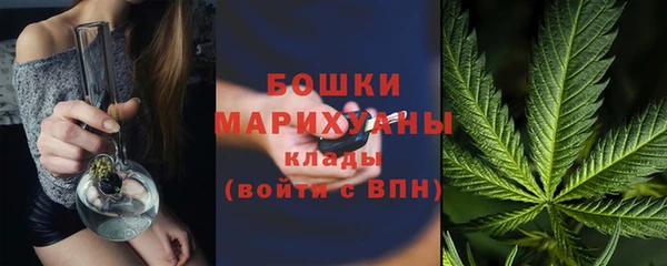 стаф Арсеньев