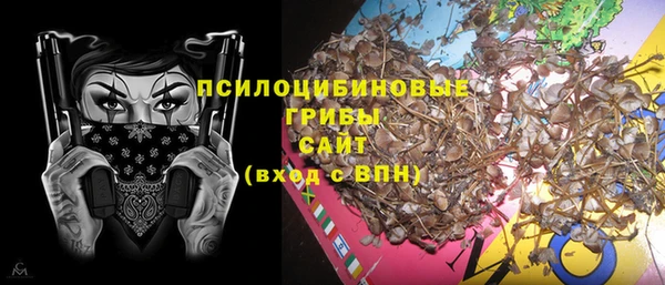 МДПВ Армянск