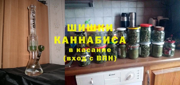 стаф Арсеньев