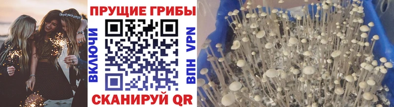 Галлюциногенные грибы мицелий  Купить закладки  Очёр 