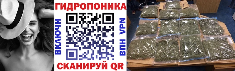 Купить закладки  Очёр  Конопля сатива 